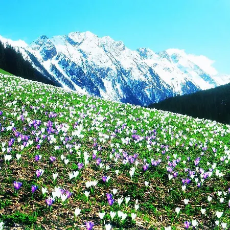 Lena Апартаменты Герлос