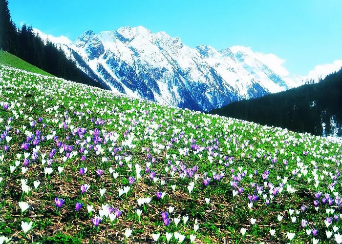 Lena Lägenhet Gerlos