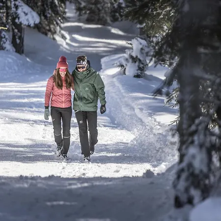 Apartment Lena Gerlos